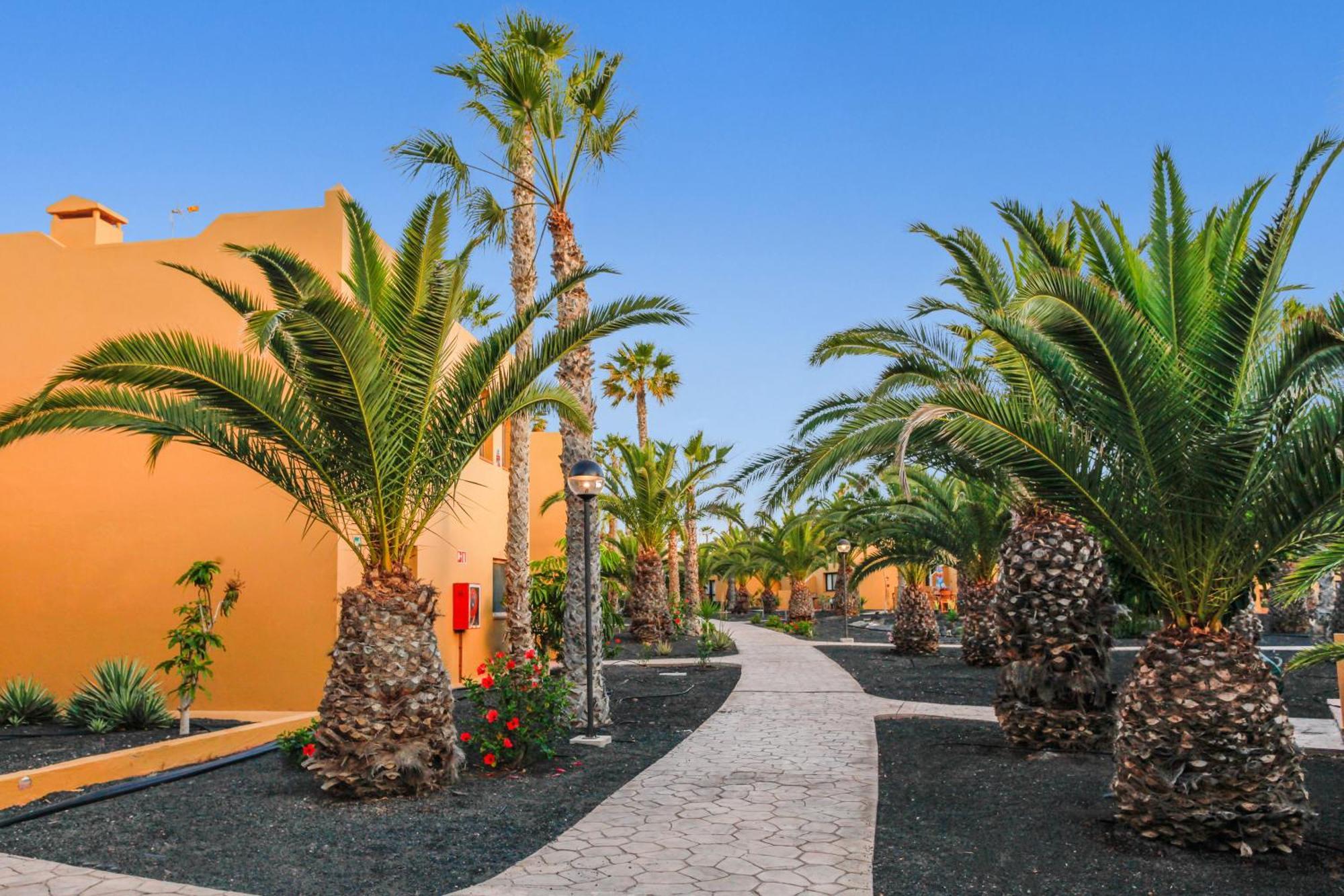 Apartamento Papagayo Corralejo Eksteriør bilde